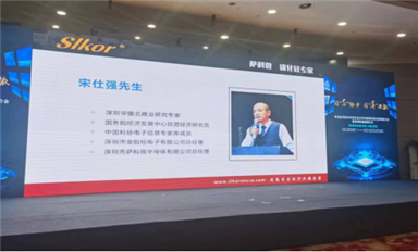 國產(chǎn)替代，逆勢崛起  中國半導(dǎo)體行業(yè)的未來展望